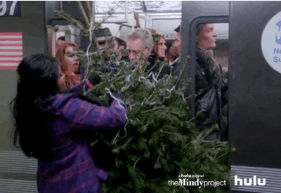 HULU tv fox the mindy project mindy kaling