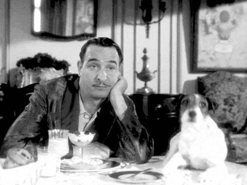 jean dujardin the artist uggie