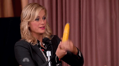 parks and recreation animated GIF