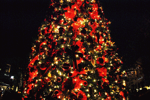 christmas animated GIF
