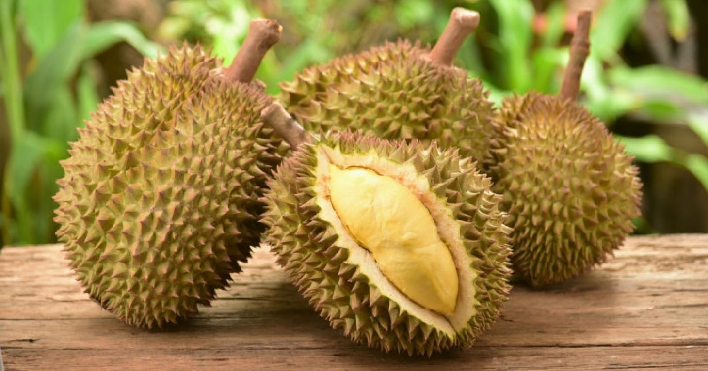 Le durian
