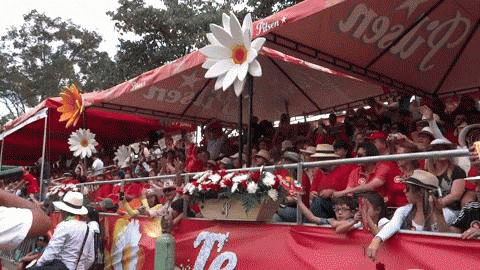 la animated GIF