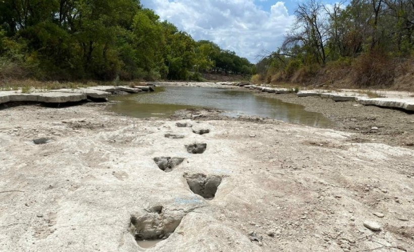 Des traces de dinosaures découvertes