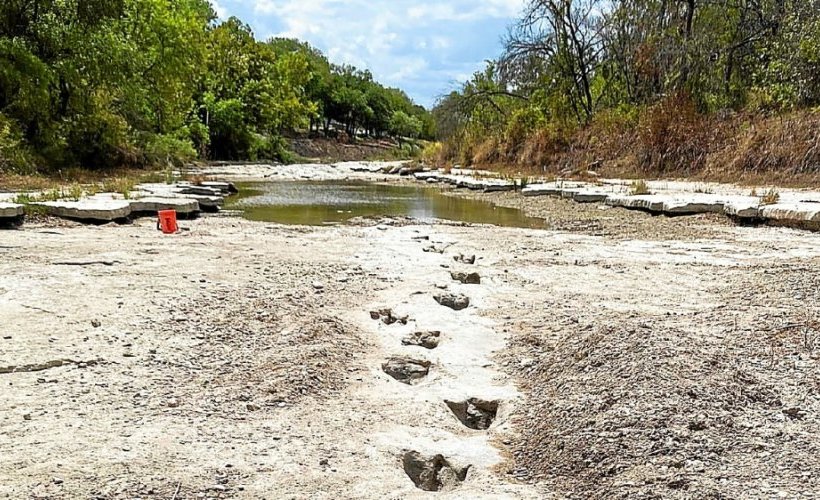 Des traces de dinosaures découvertes