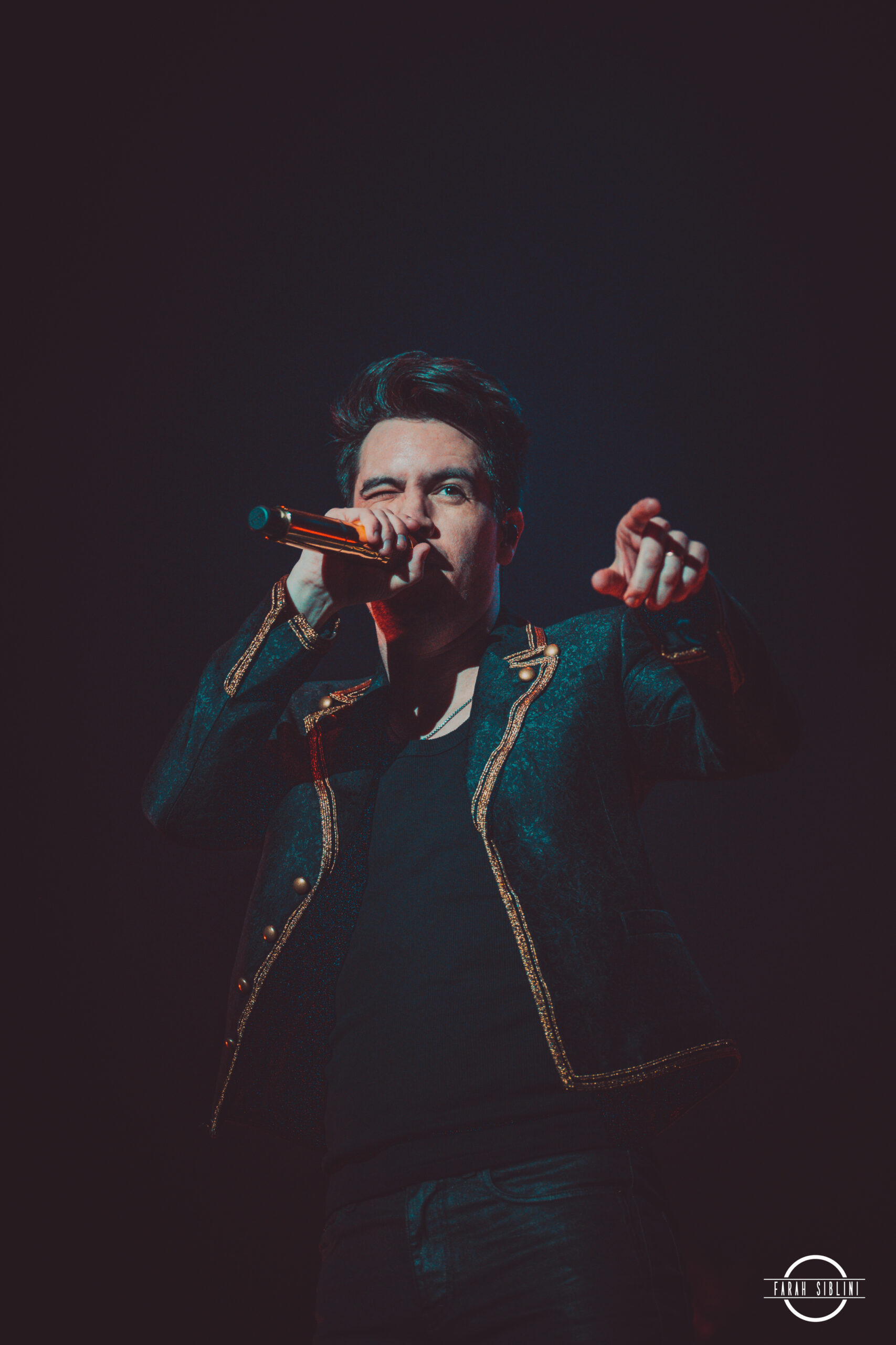 Panic! at the Disco donne son dernier concert français