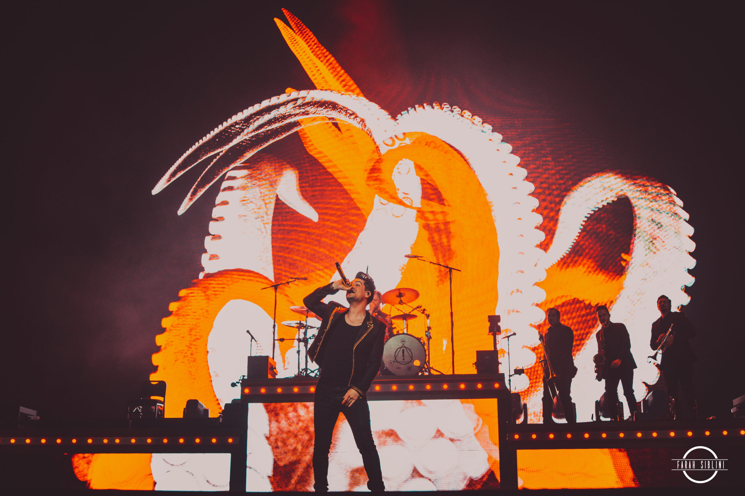 Panic! at the Disco donne son dernier concert français