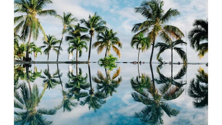 Insolite : Télétravailler depuis l'île Maurice ? C'est possible !
